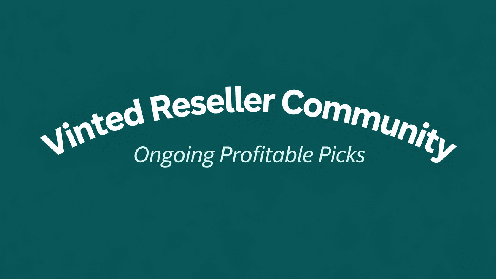 Vinted Reseller Community-Ongoing Profitable Picks