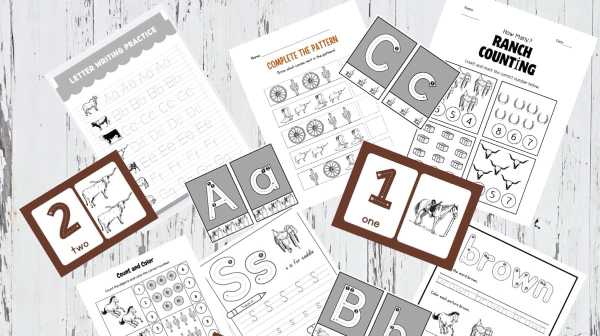 Make Kindergarten Learning More Fun🤠