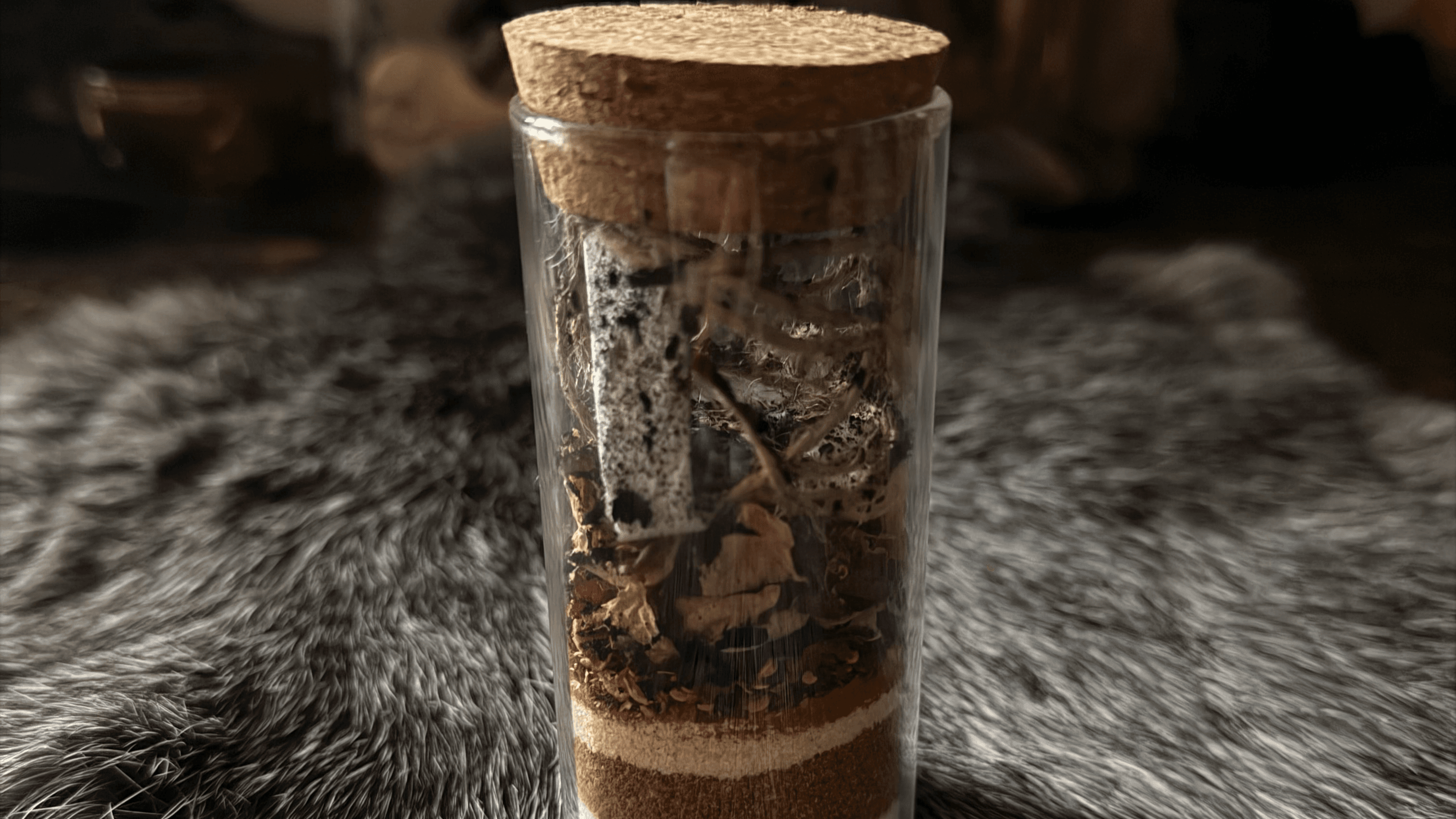 Hatred jar