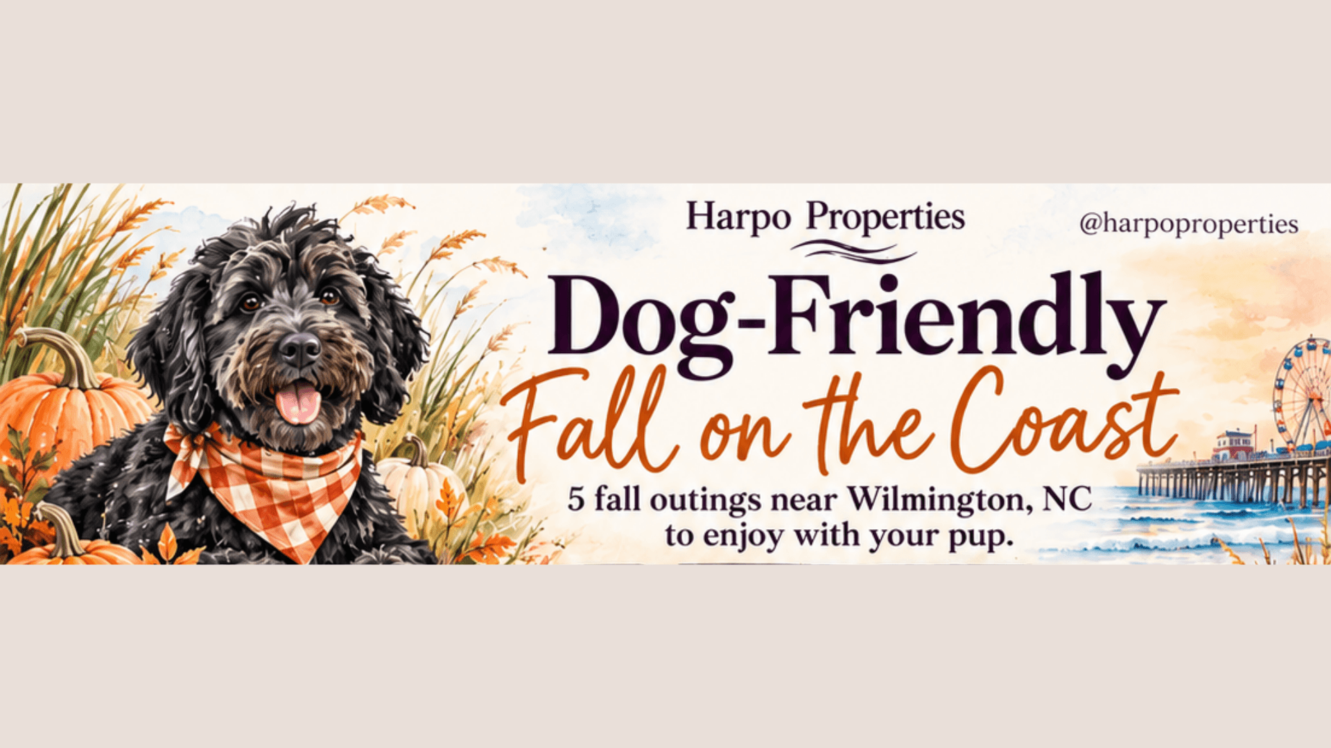 Dog Friendly Fall in Wilmington NC