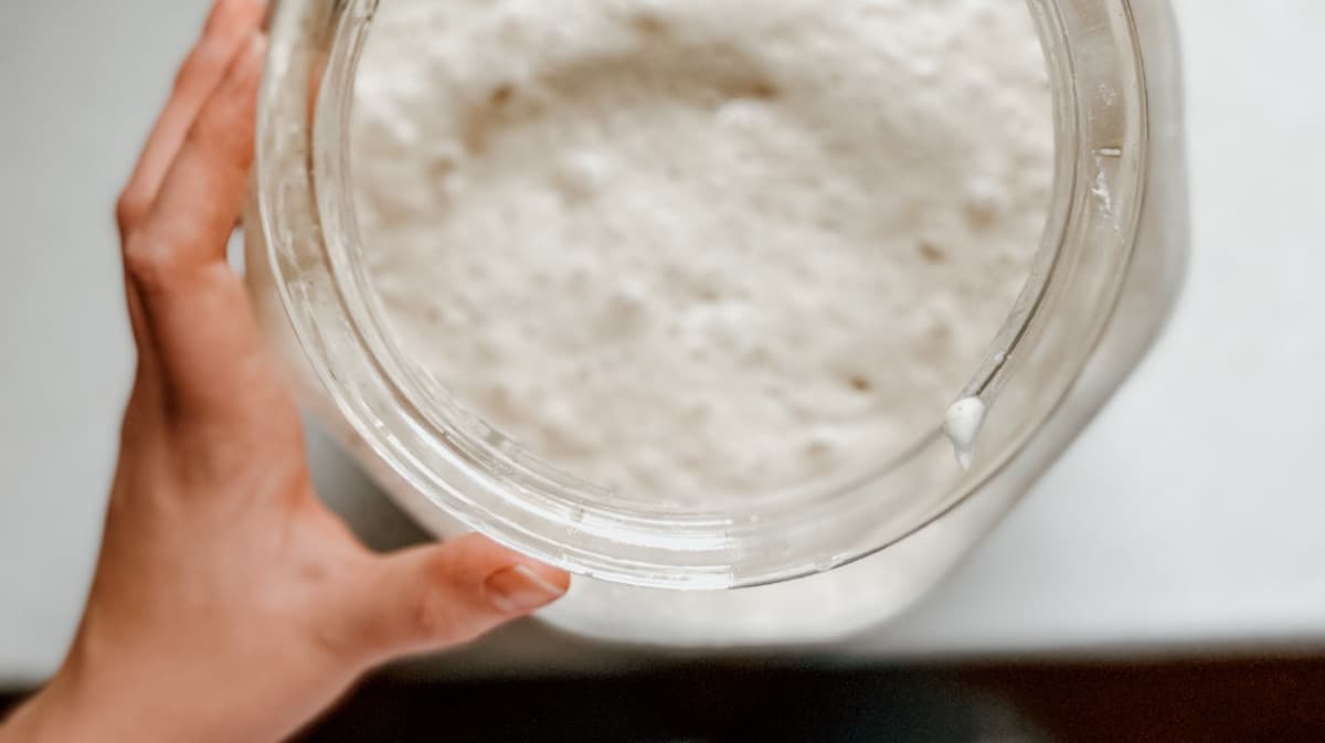 How to Care for Your Active Starter