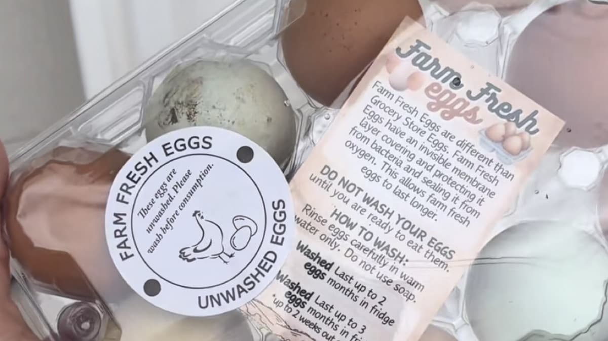 Water Glassing Eggs Method (Preserves for 2 Years)