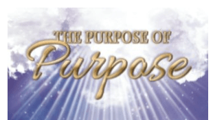 The Purpose of Purpose!