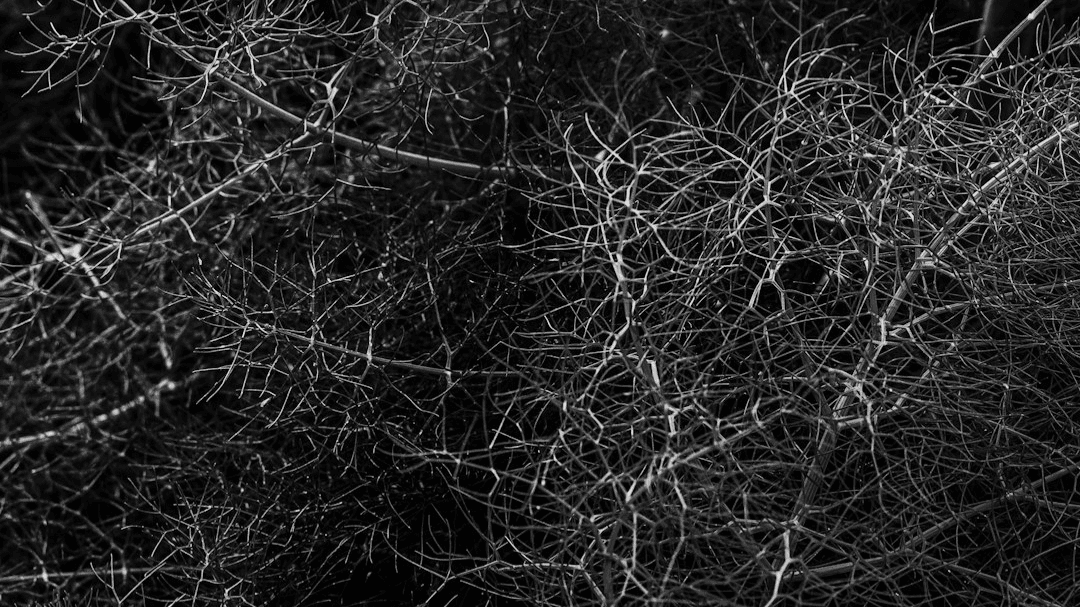 FREE Nervous System Assessment