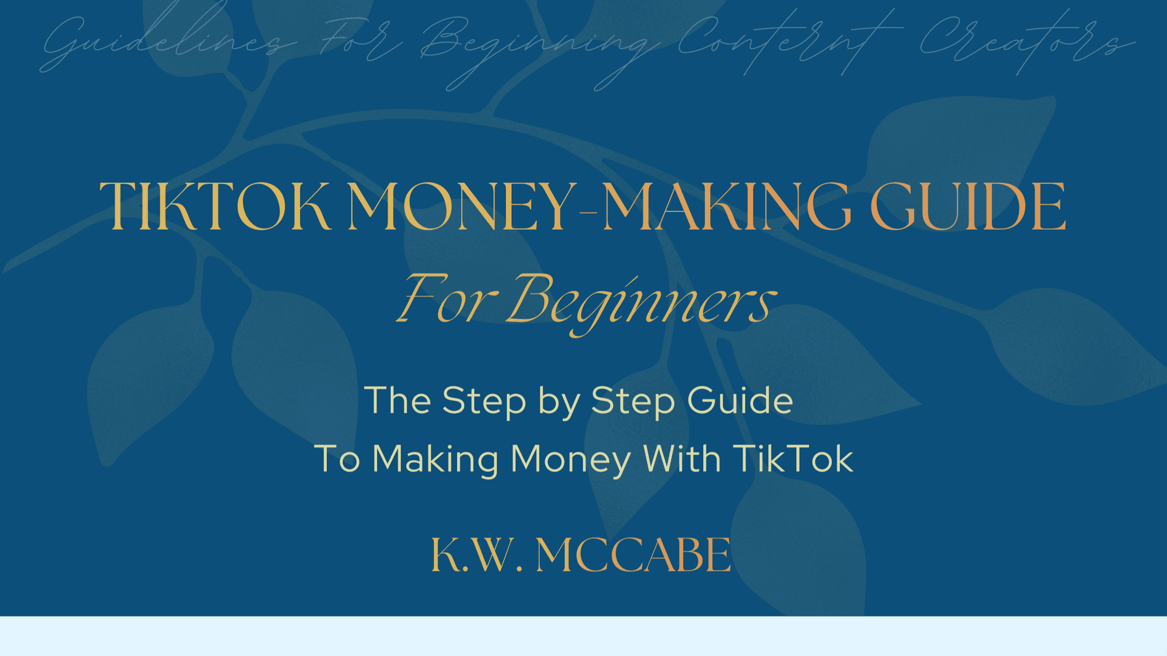 Turn Your TikTok Into a Money-Making Machine!