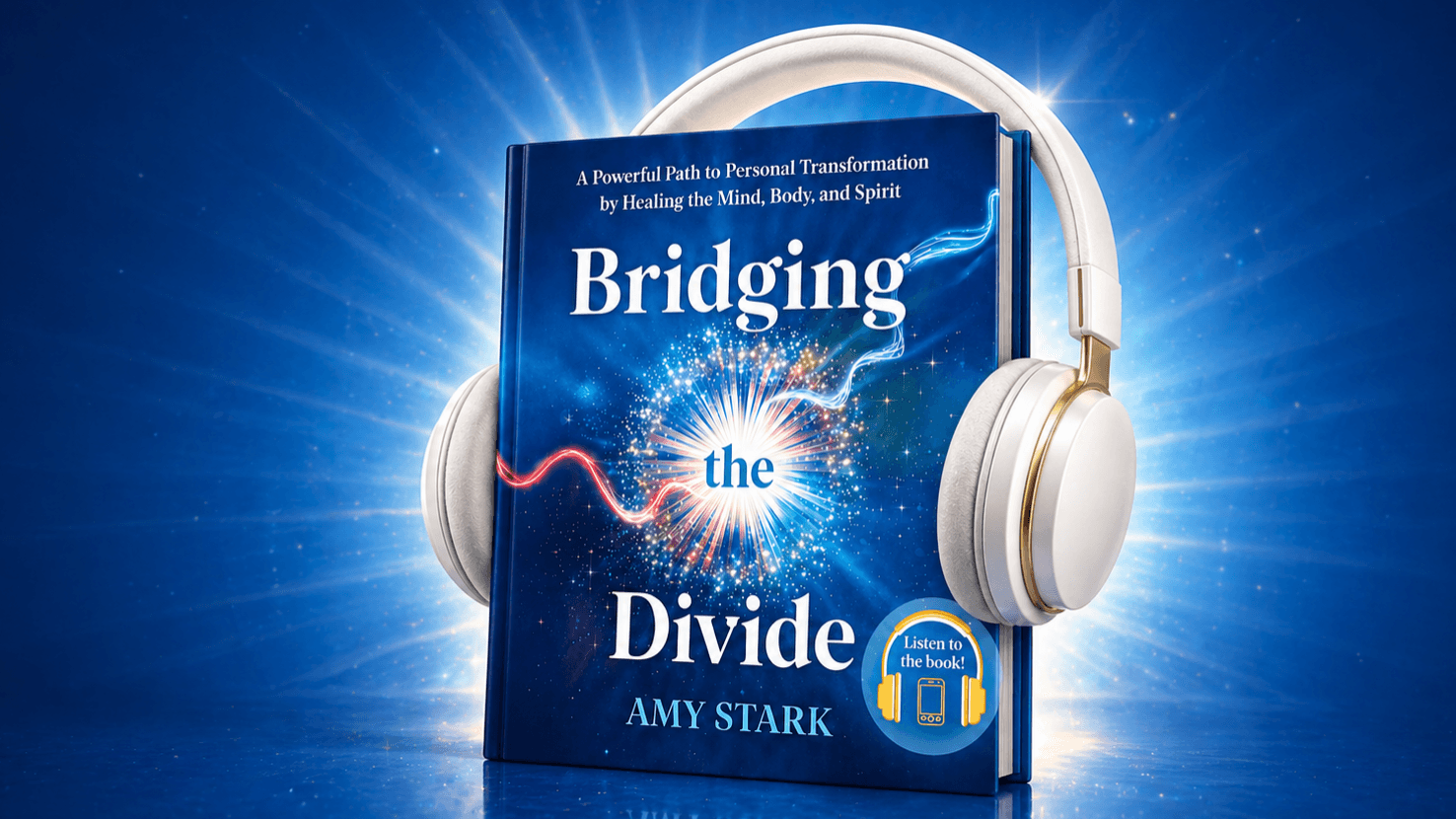 Bridging the Divide Audiobook Experience