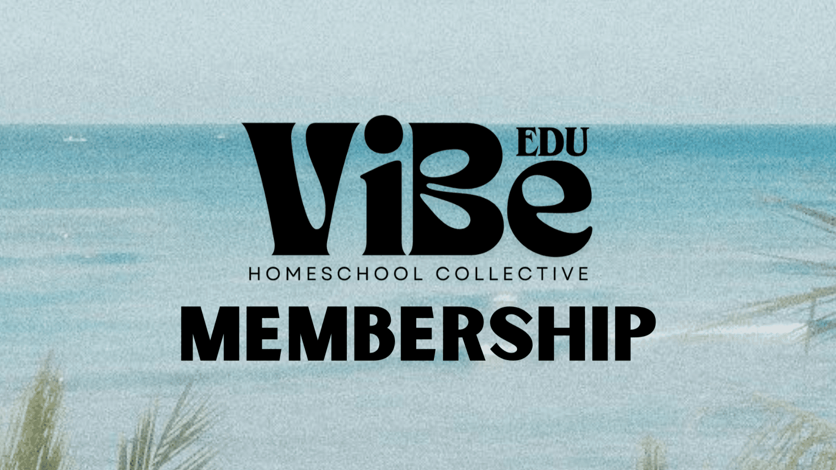 VIBE 26-27 Membership