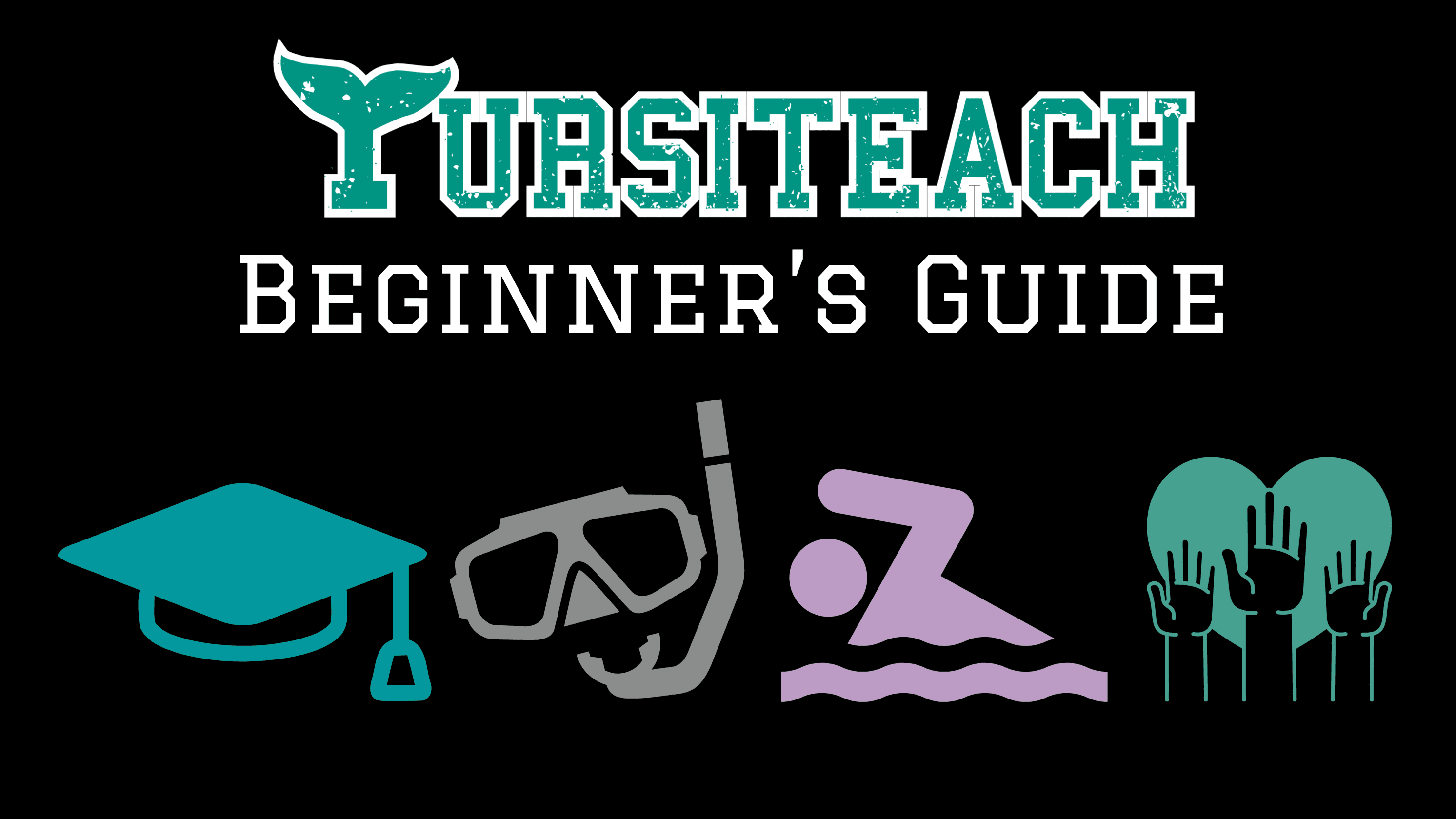 Beginner's Guide to Becoming a Dolphin Trainer