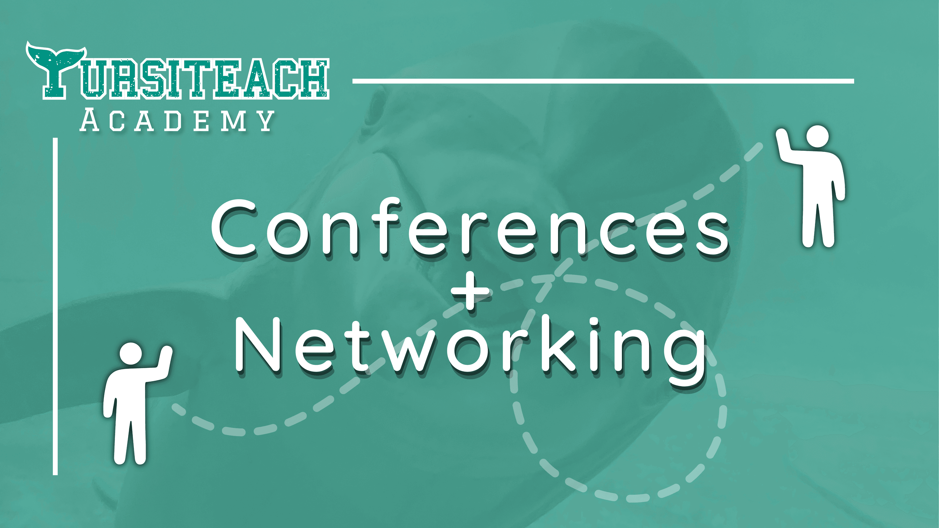 Conferences & Networking