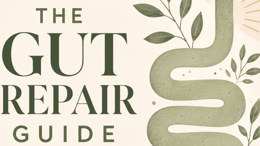 Get My Gut Repair Guide
