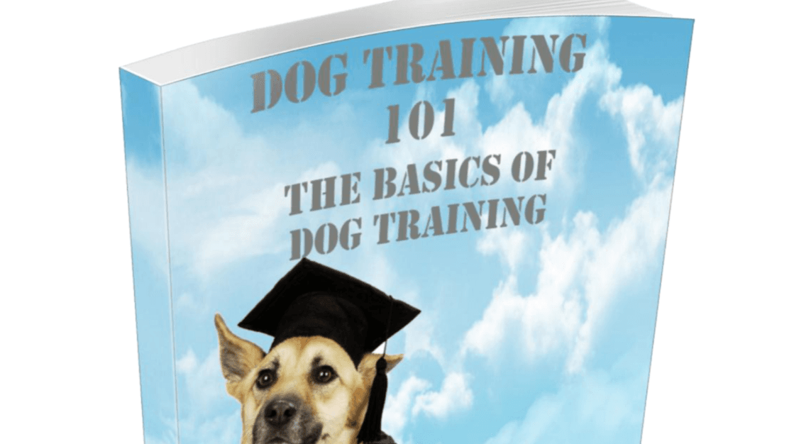 Dog Training 101