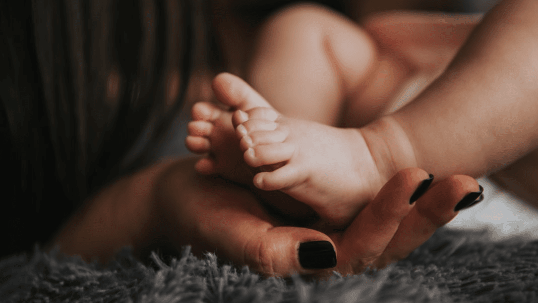 The New Mum Guide
