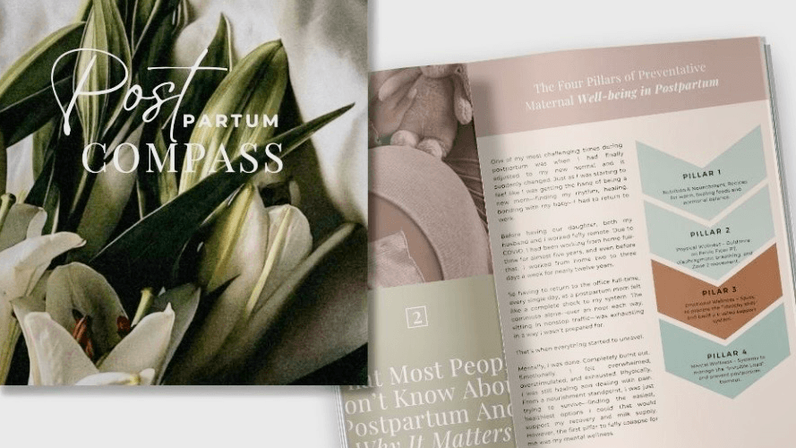 Get The Postpartum Compass Guide