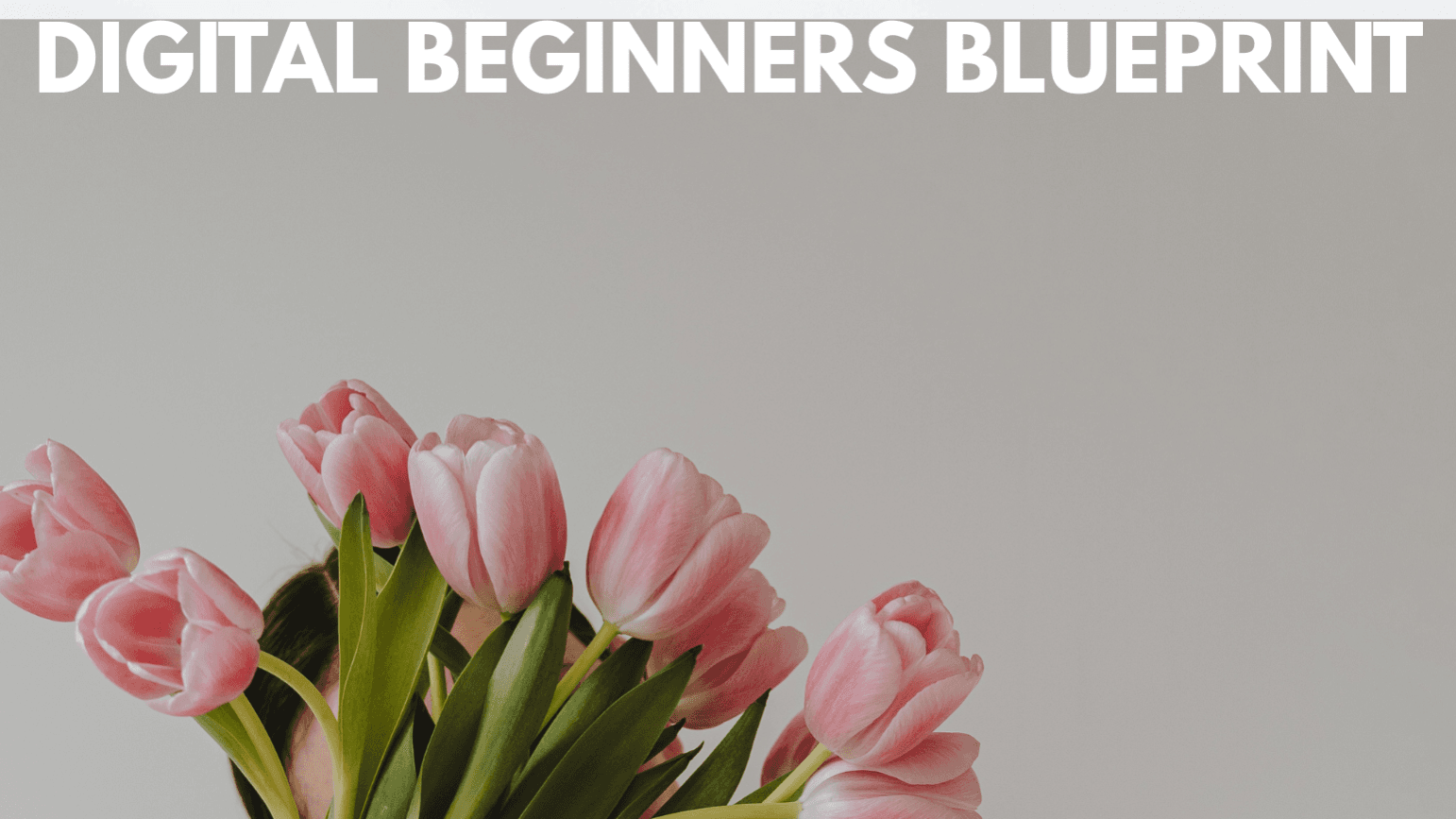 Get My Digital Beginners  Blueprint Guide Now!