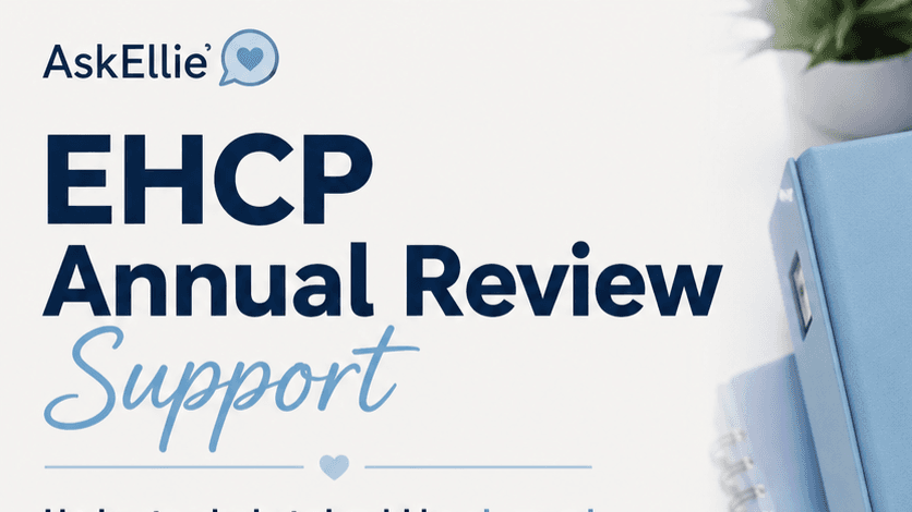 EHCP Annual Review Support