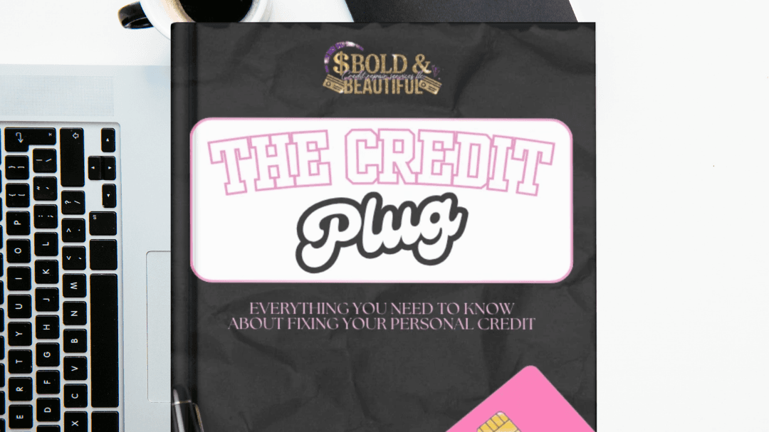 The Credit Plug