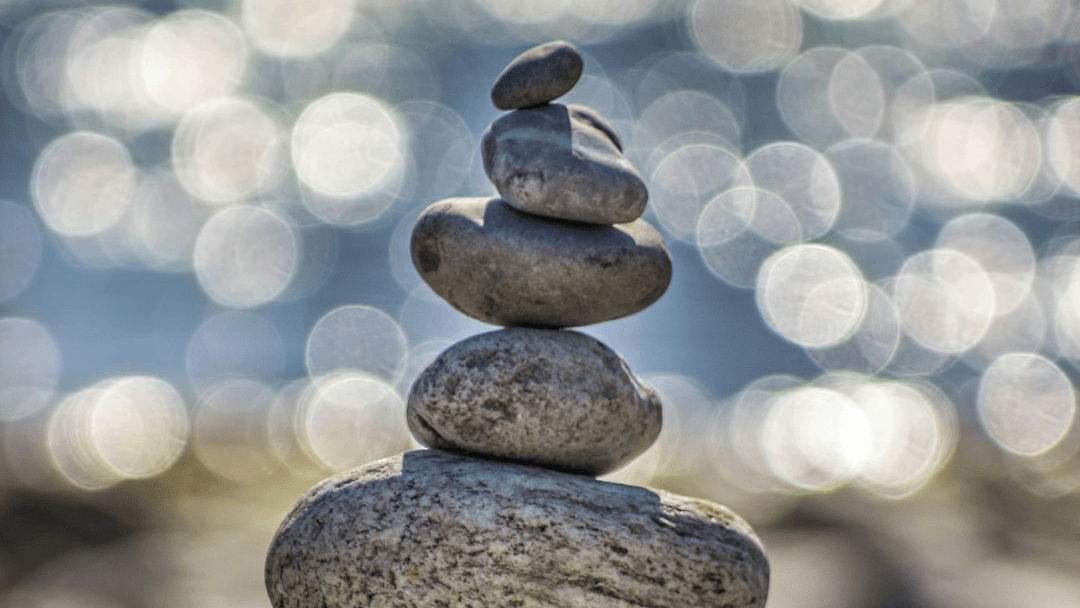 Book a 1:1 Wellness Coaching Session