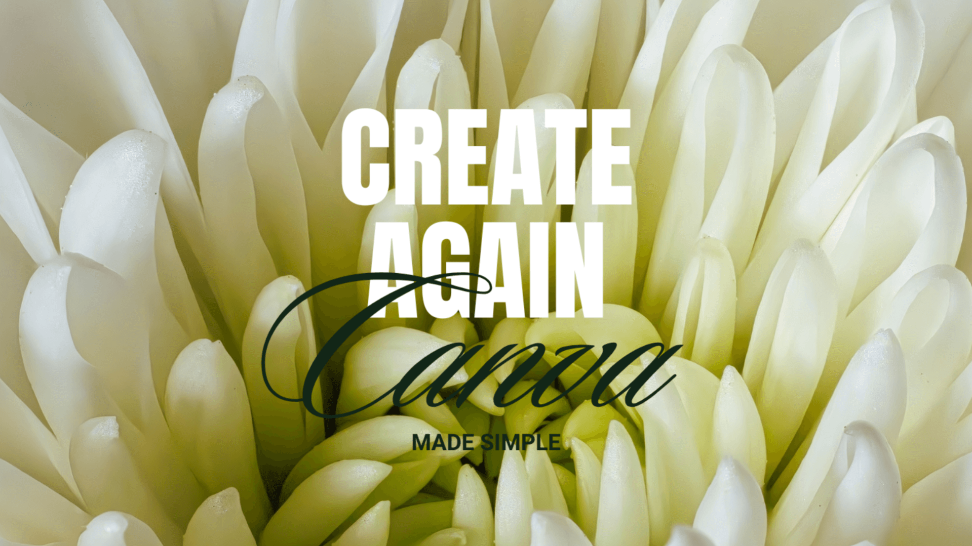 Create Again: Canva made simple