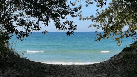 The Human Baseline Reset