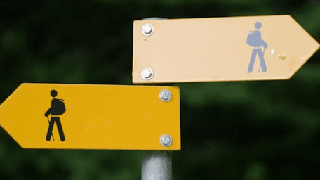Free Download: Therapy or Coaching Decision Flow