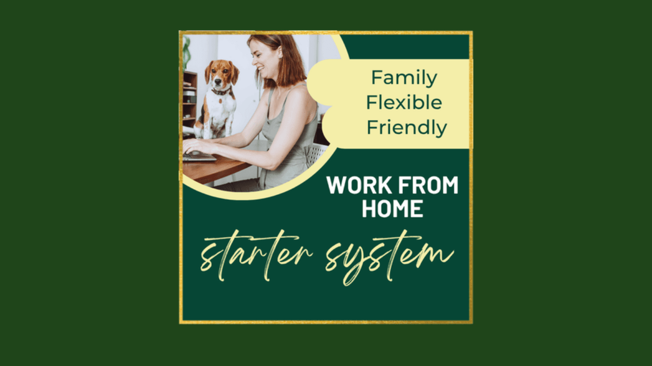 Work From Home Starter System