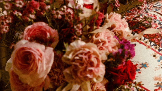 FREE: The Soft Reset | Issue No. 1