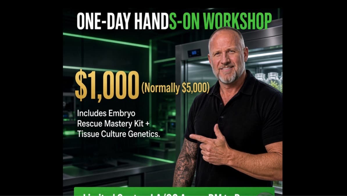 Live in person workshop Nov 1  10:00AM -5/pm 