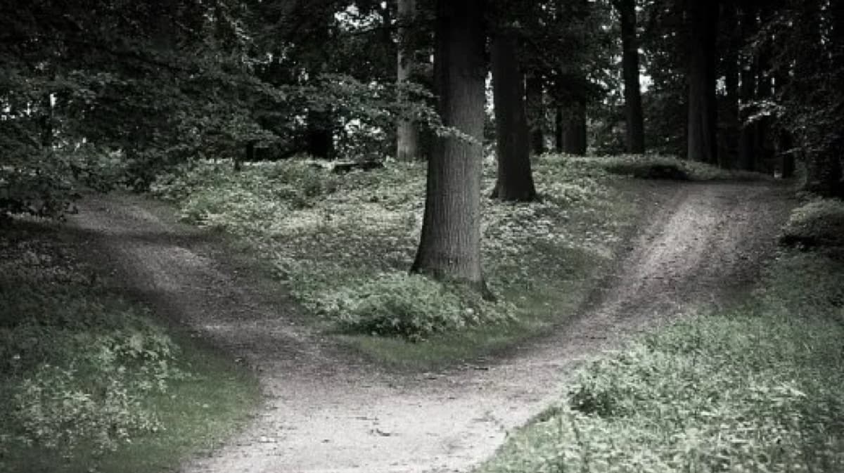 Crossroads Emailed Reading