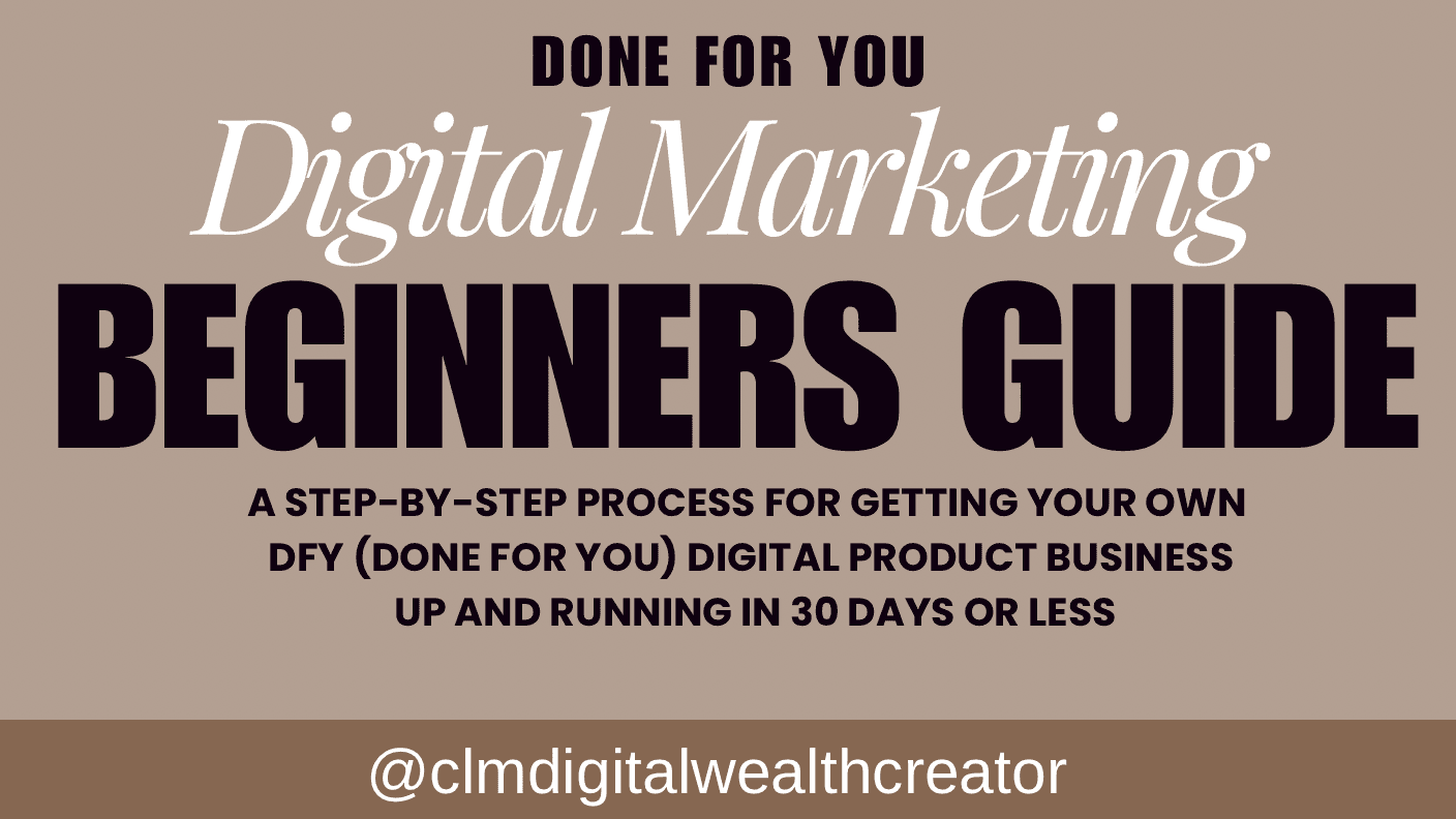 DFY Beginners Guide E-book