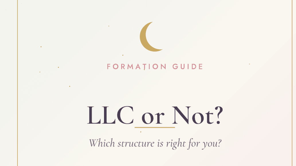 LLC or Not? — A Business Formation Guide