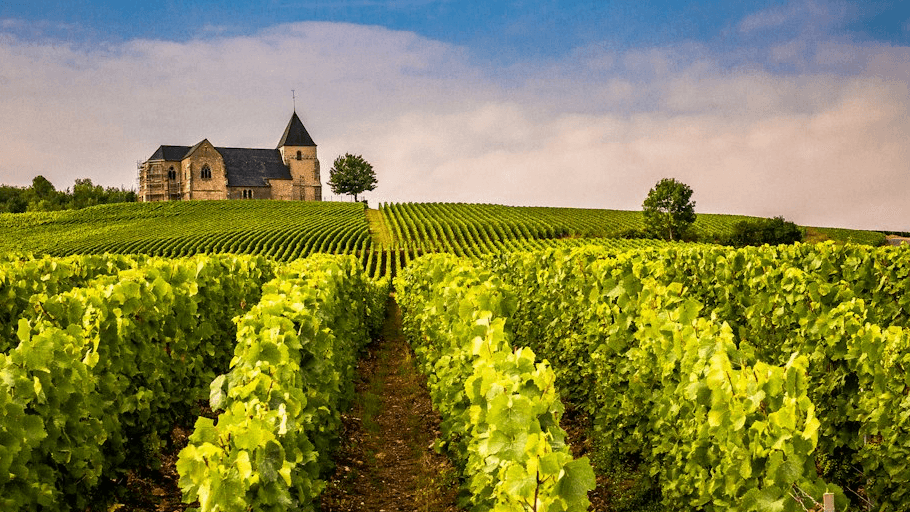Free Champagne Three-Day Itinerary 