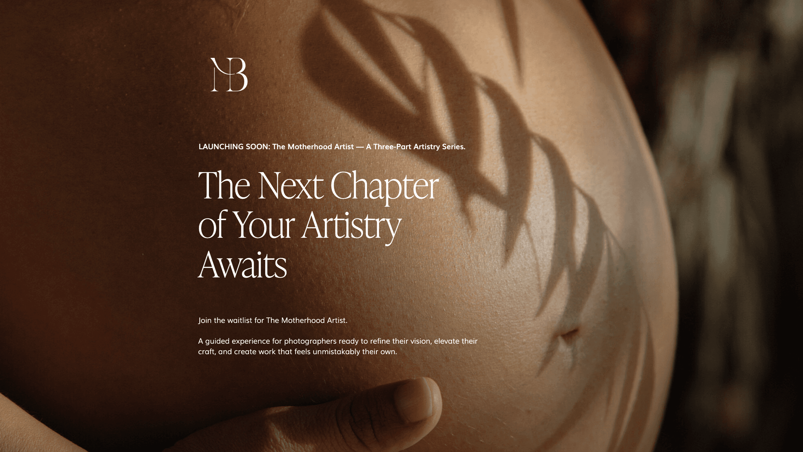 Coming Soon: The Motherhood Artist.