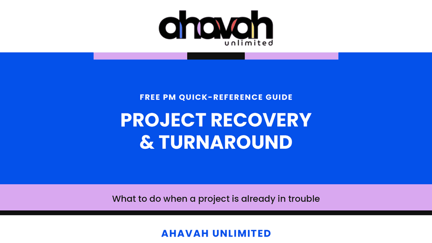 Project Recovery & Turnaround  - QRG (Free)