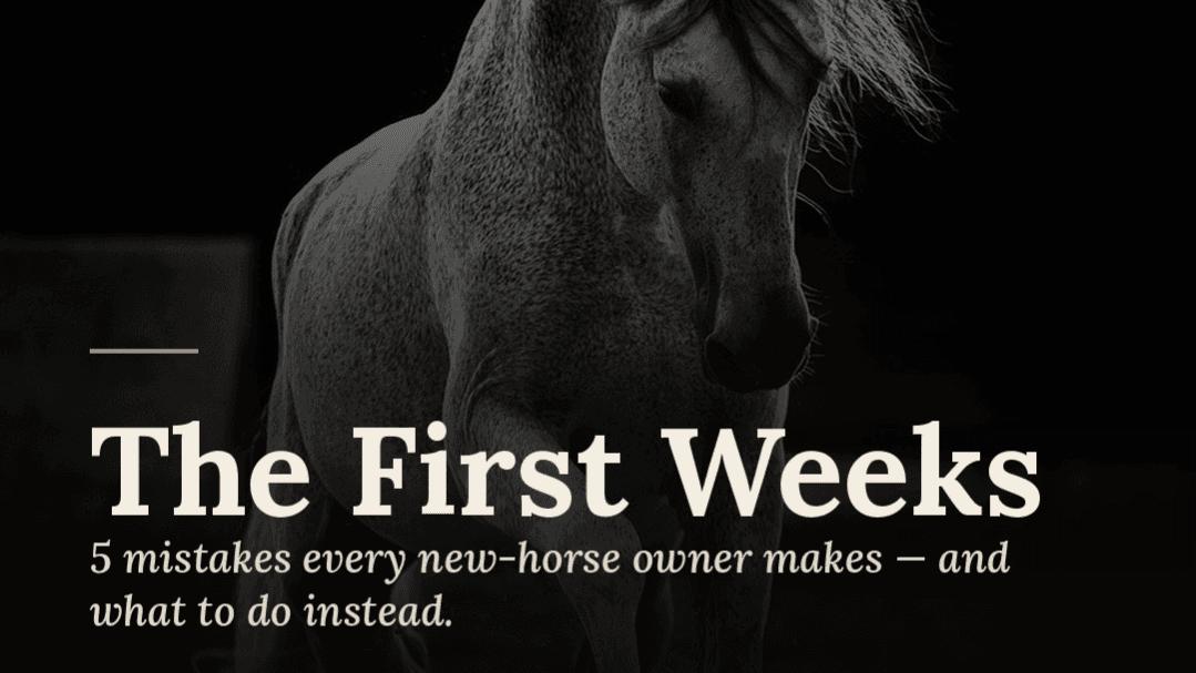 The First Weeks: 5 Mistakes 