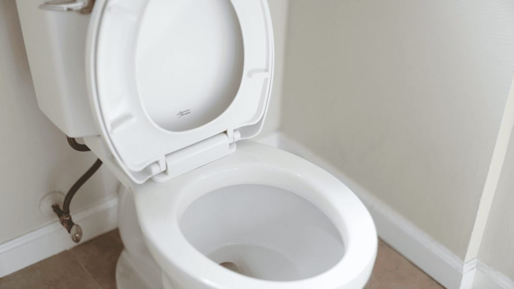 Potty Train Your Autistic Child