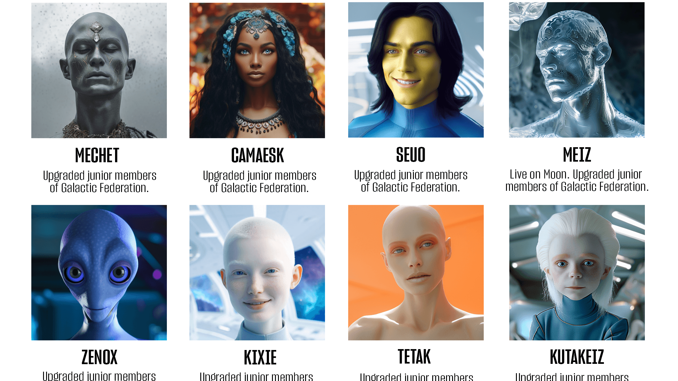 Galactic Akashic Constellations®— Group & 1:1