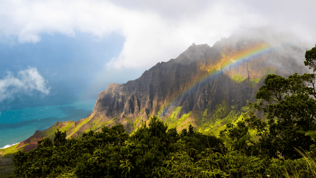 The Hawaiʻi Companions