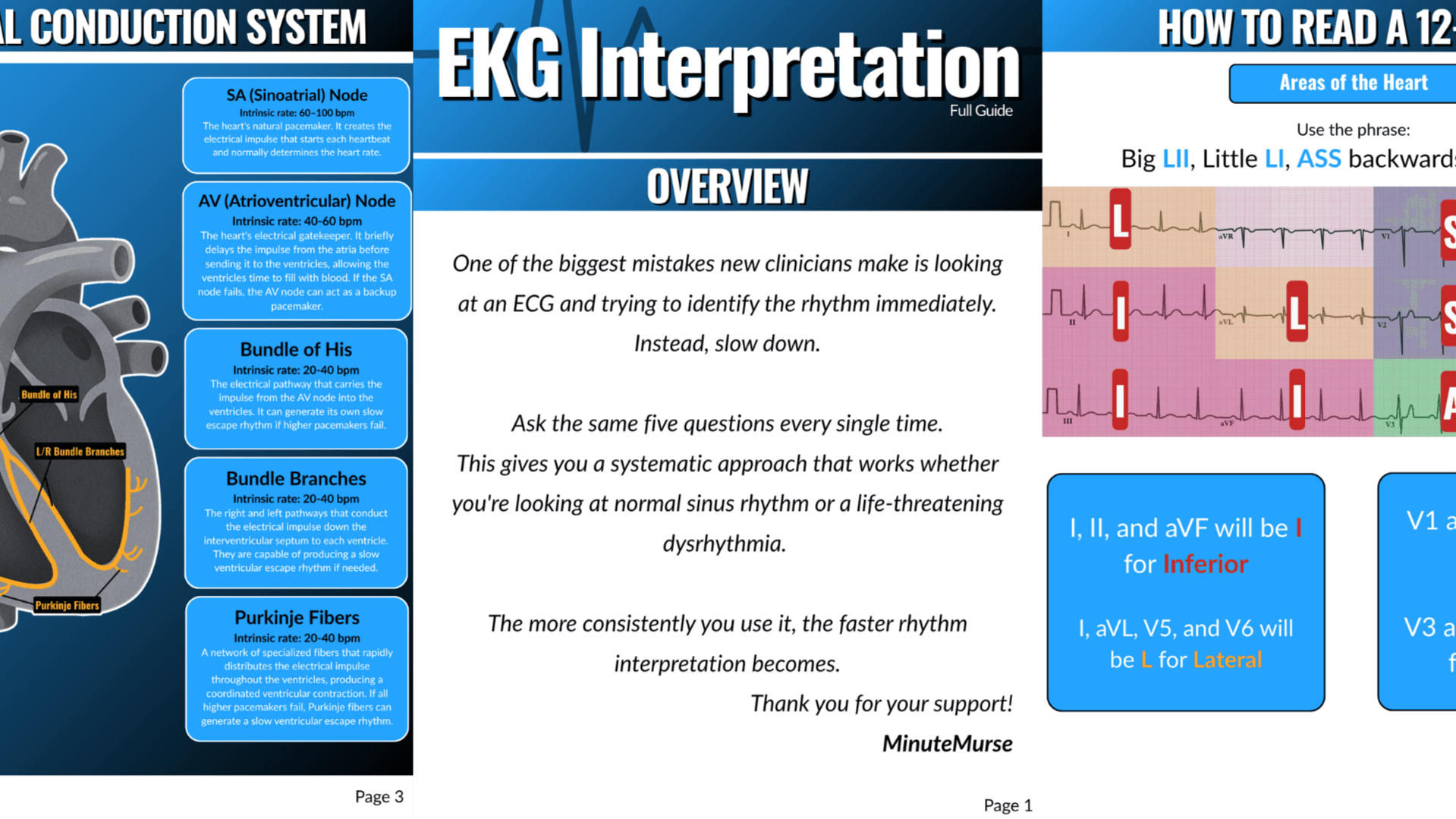 EKG Interpretation | Full Guide