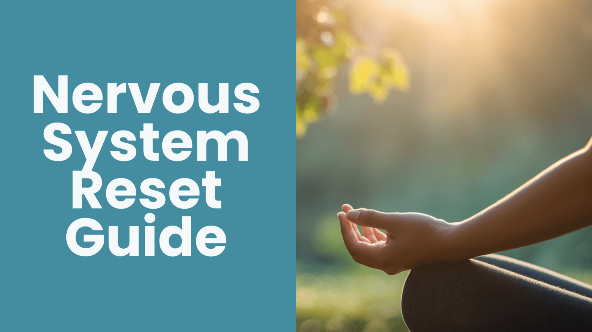 Get The Nervous System Reset Guide Now!