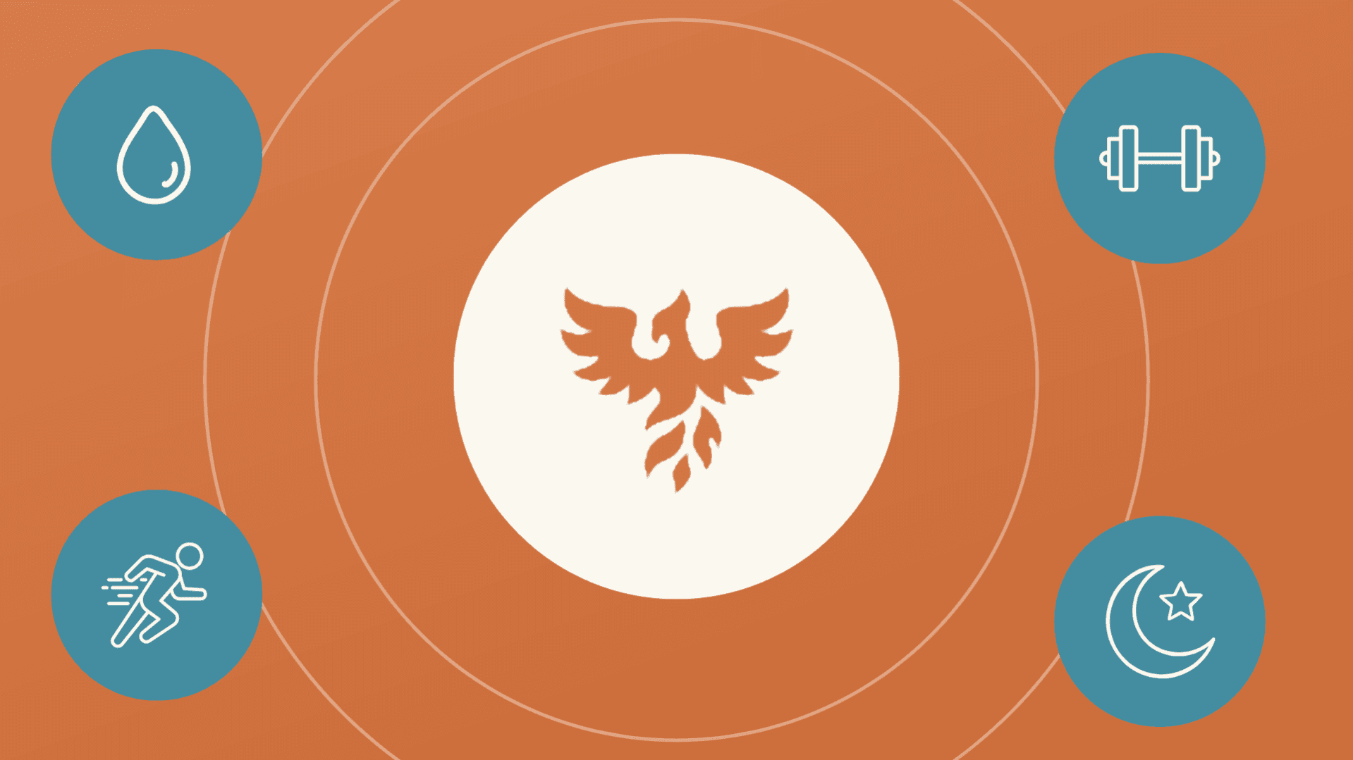 The Phoenix Reset