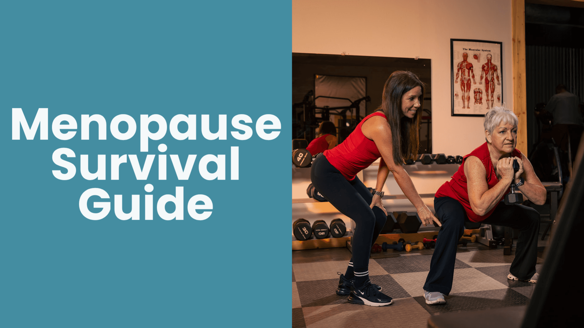 Get The Menopause Survival Guide Now!
