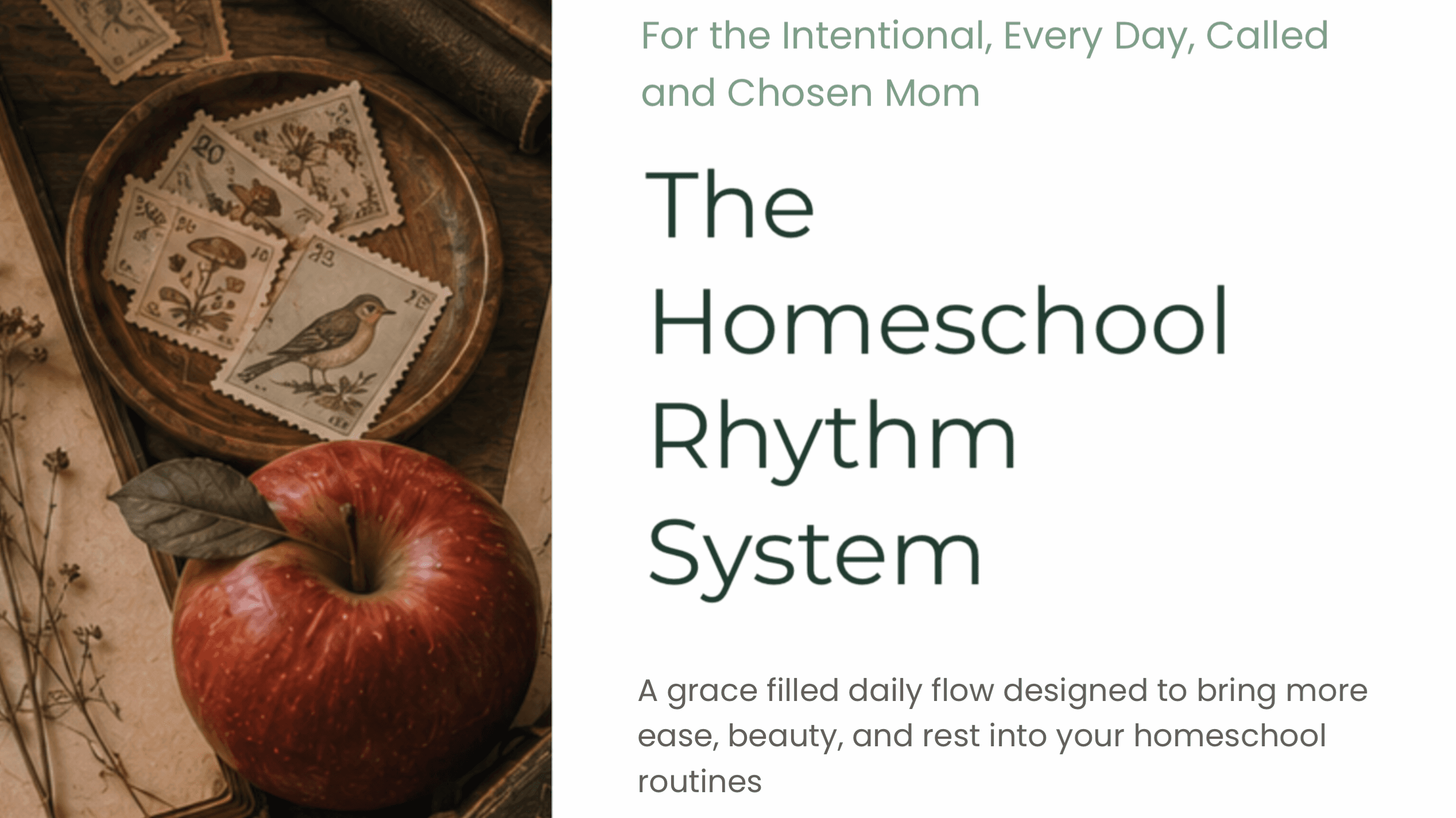 The Homeschool Rhythm System + Notebook PDF