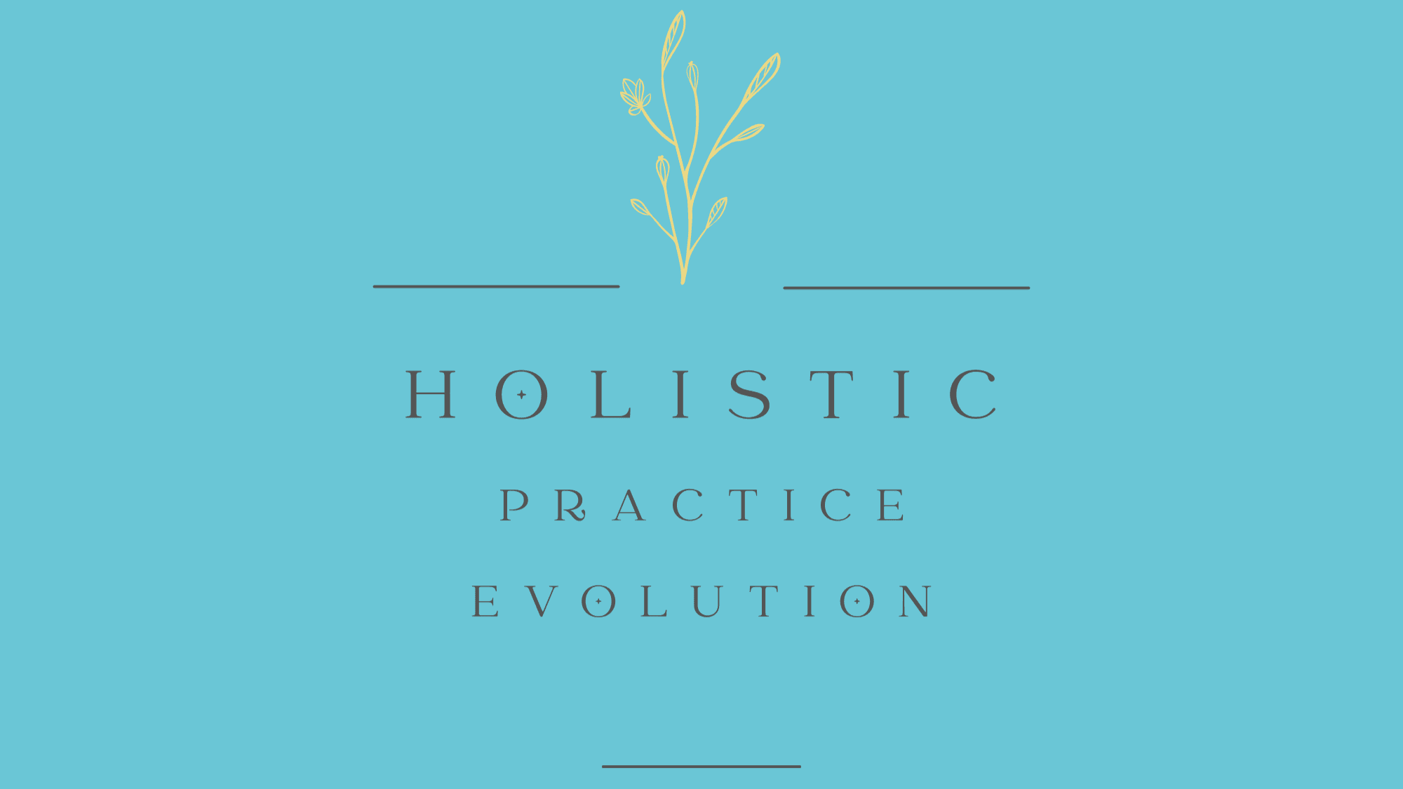 Holistic Practice Evolution
