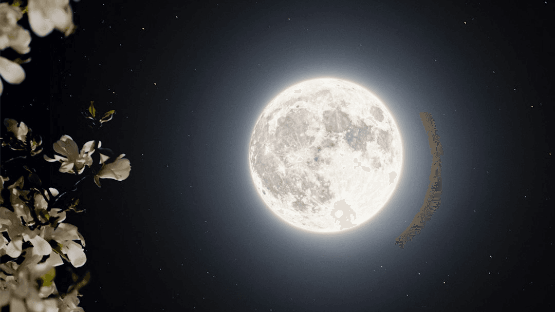 Full Moon in Taurus ♉Journal Prompts 