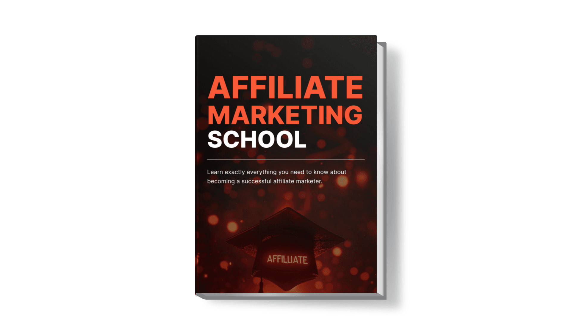 Affiliate Marketing School