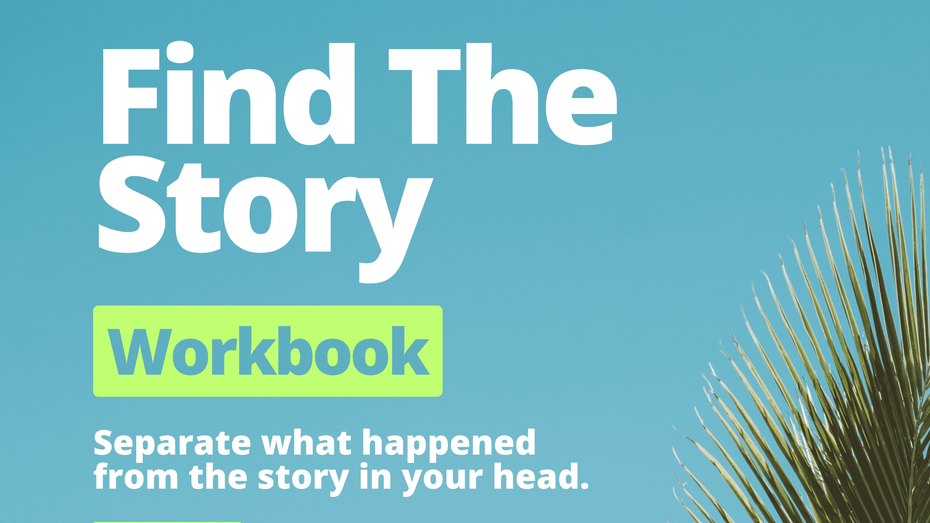 Find The Story Workbook