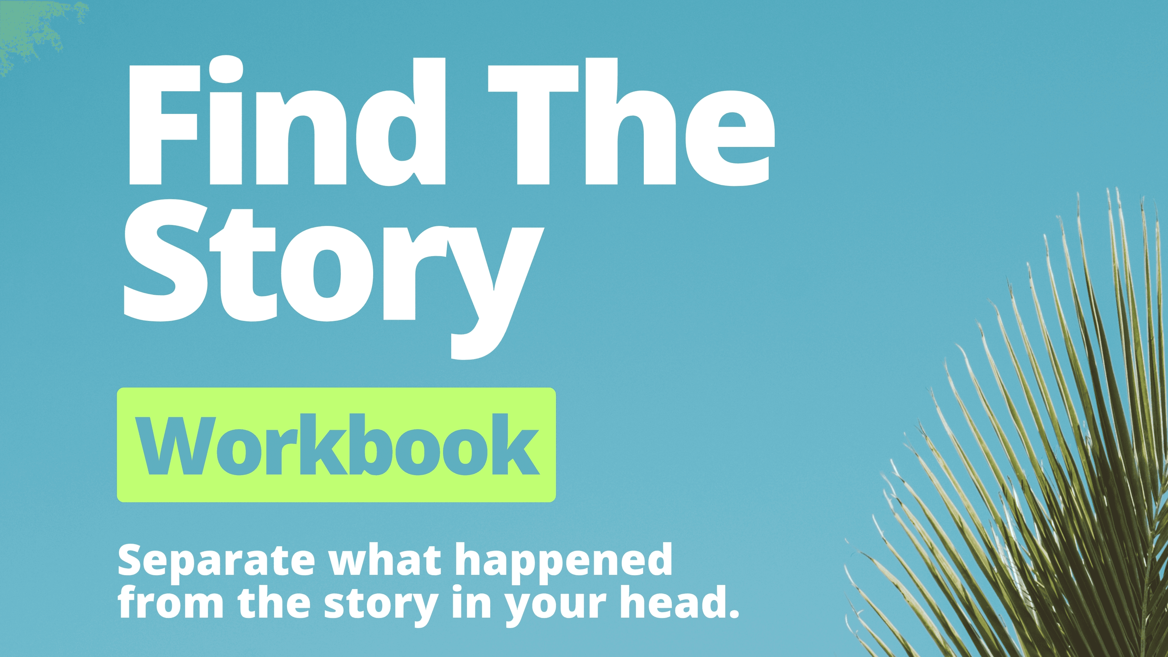 Find The Story Workbook