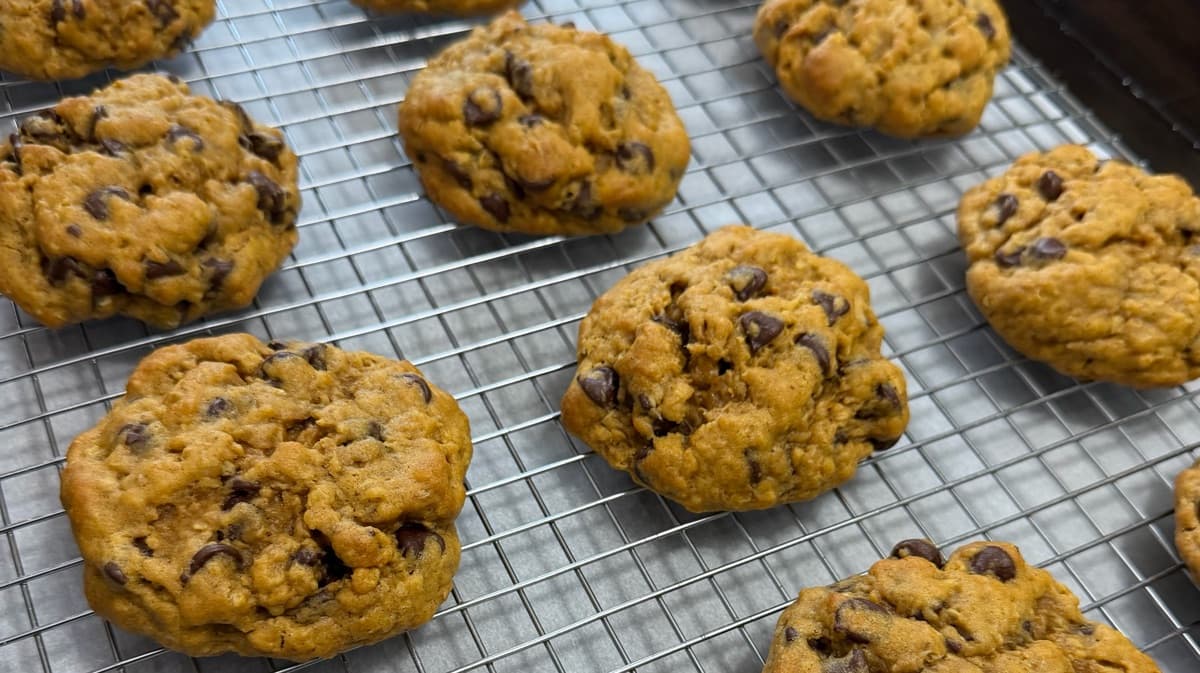 Pumpkin Oatmeal Chocolate Chip Cookie Recipe