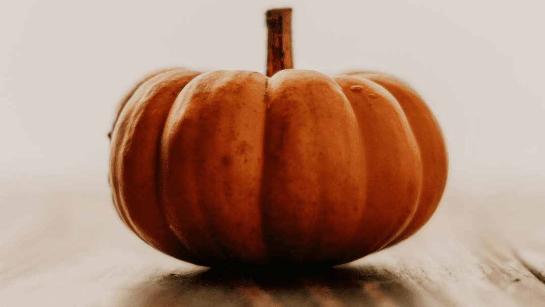 Slow Cooker Pumpkin Cobbler 
