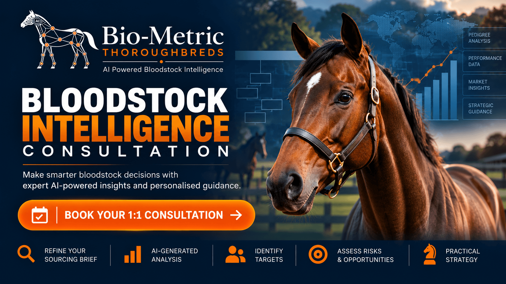 Bloodstock Intelligence Consultation
